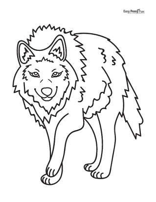Real wolf coloring page