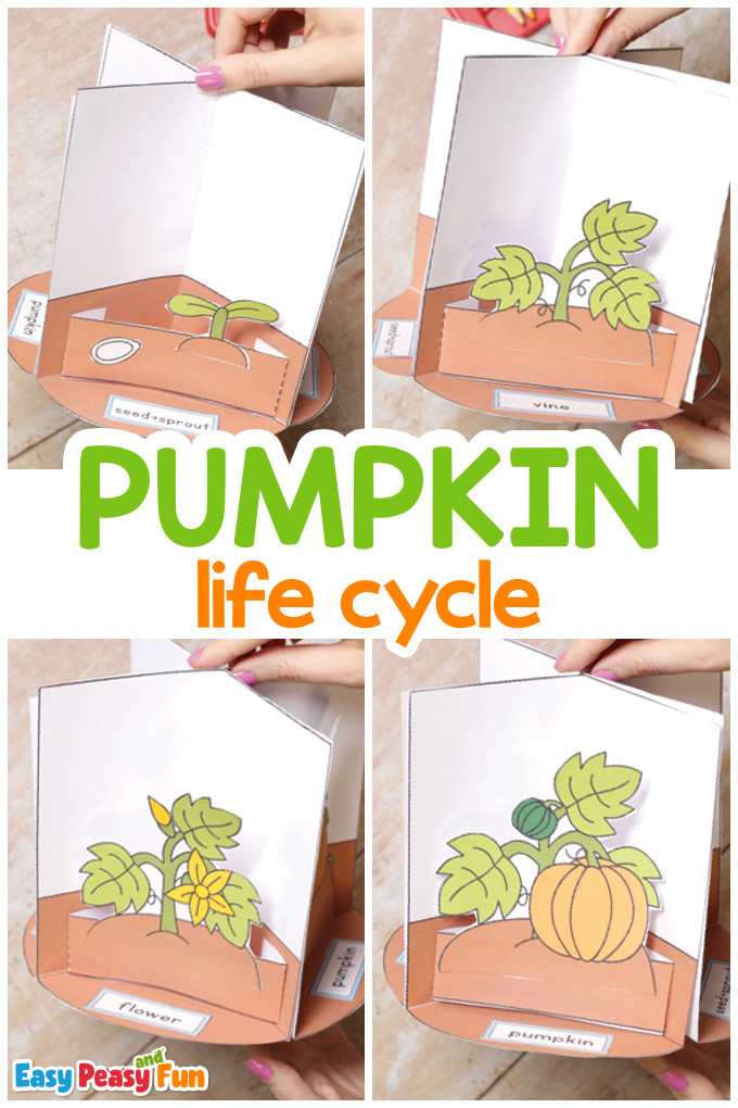 Pumpkin Life Cycle Craft Template