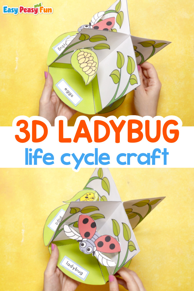Ladybug Life Cycle Craft