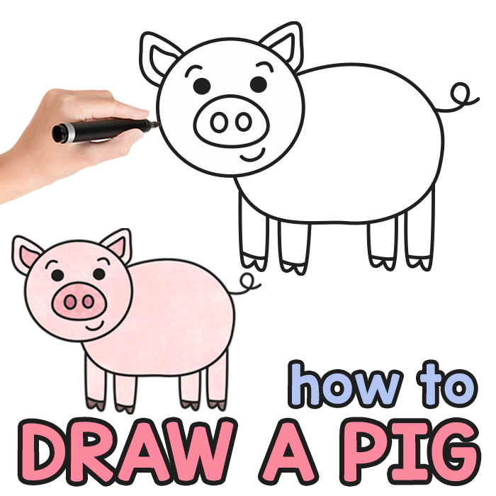 Pig Directed Drawing Guide