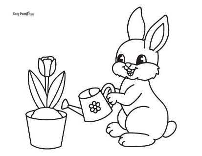 Bunny and its Tulip