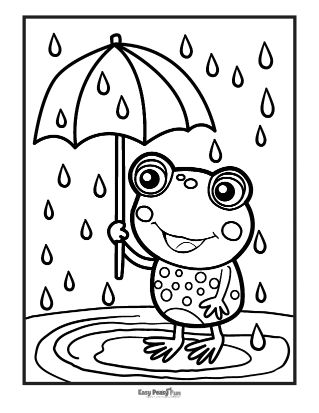 Rainy Day for a Frog