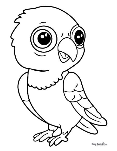 Baby Macaw for Coloring