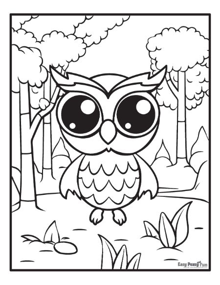 Baby Owl in the Woods