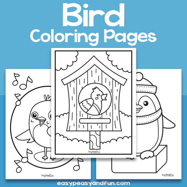 Bird Coloring Sheets