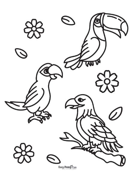 Bird Friends Coloring Sheet