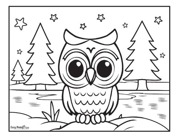Owl in the Pine Forest