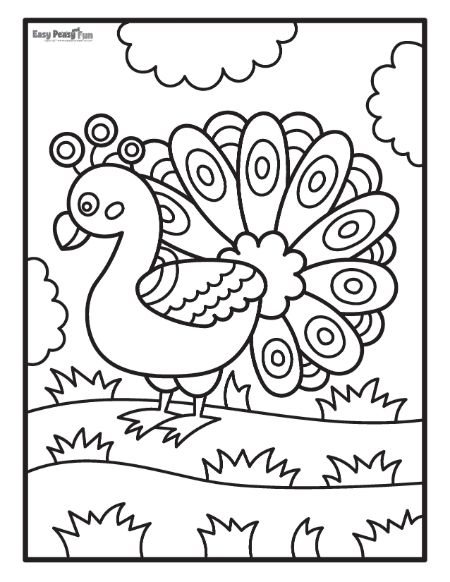 Peacock Show Coloring Sheet