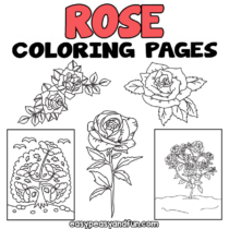 Printable Rose Coloring Pages – 30 Roses Illustrations