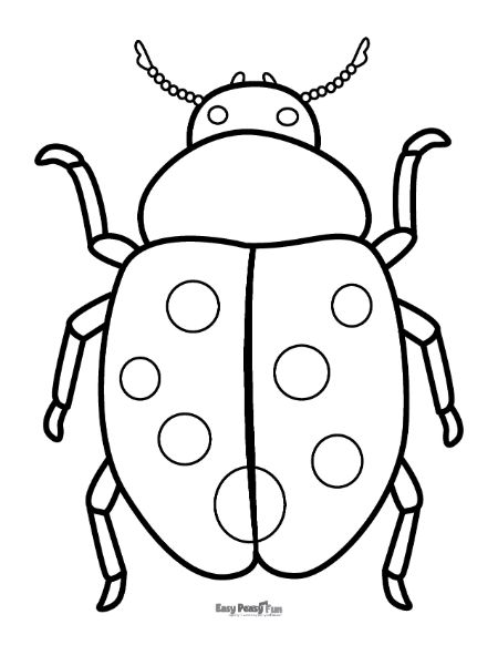 Realistic Ladybug Illustration for Coloring