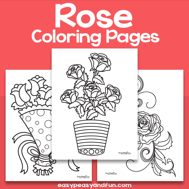 Rose Coloring Sheets