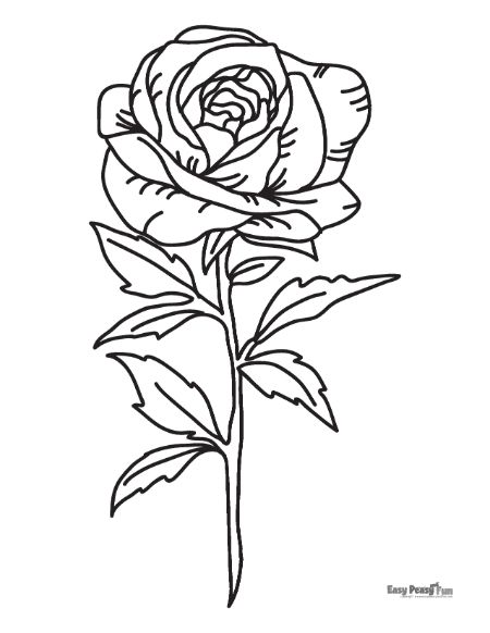 Single rose coloring page