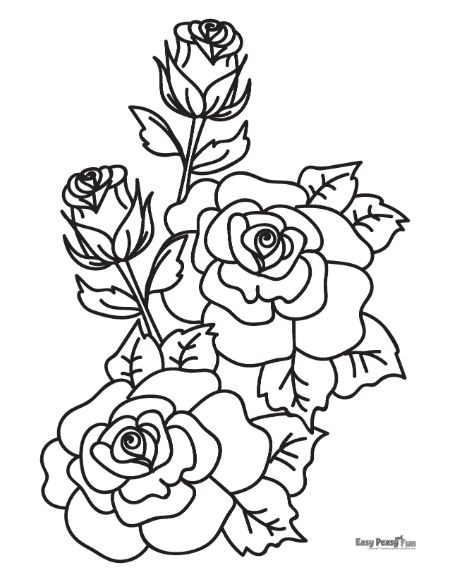 Beautiful Roses Coloring Page