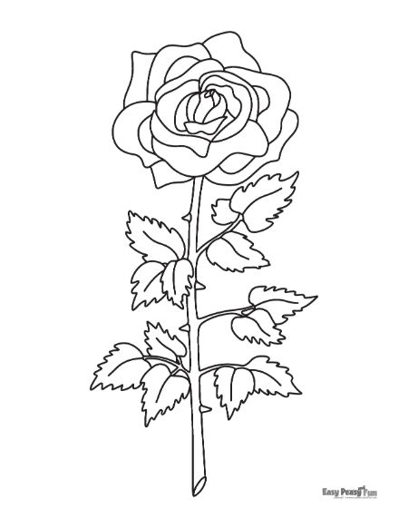 single rose coloring page