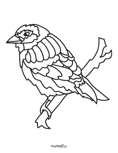 Cute Starling Coloring Page