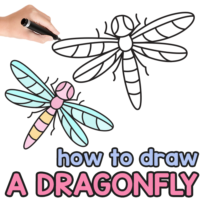 Dragonfly Directed Drawing Guide