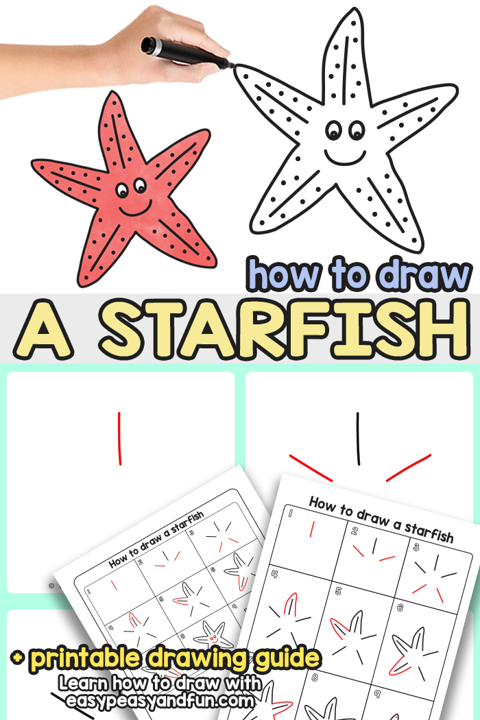 How to Draw a Starfish Step by Step Tutorial