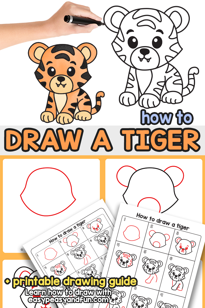 How to Draw a Tiger Step by Step Tutorial
