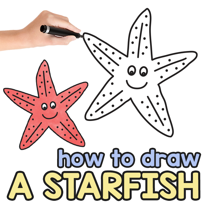 Starfish Directed Drawing Guide