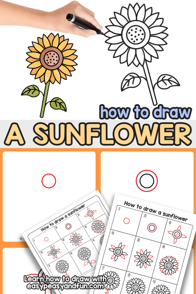 How to Draw a Sunflower Step by Step Tutorial