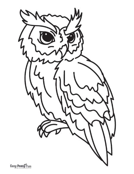 Pretty Owl Coloring Sheet