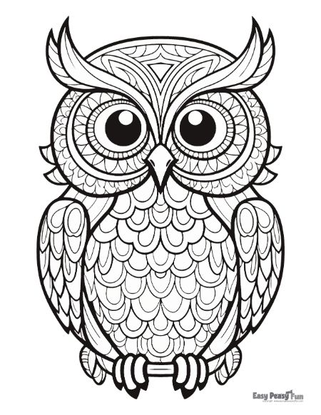 Detailed Owl Coloring Page