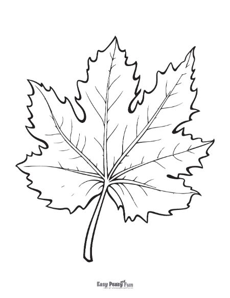 Leaf Coloring Pages-page-019