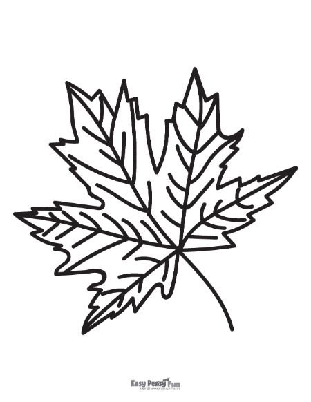 Maple Leaf Coloring Page