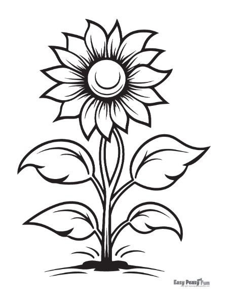 Sunflower Coloring sheet