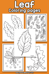 Printable Leaf Coloring Pages – 25 Sheets - Easy Peasy and Fun