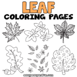 Printable Leaf Coloring Sheets
