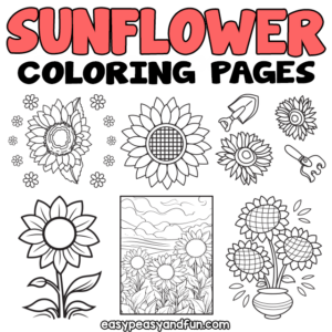 Printable Sunflower Coloring Sheets