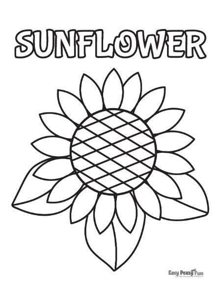 Sunflower Spelling Practice
