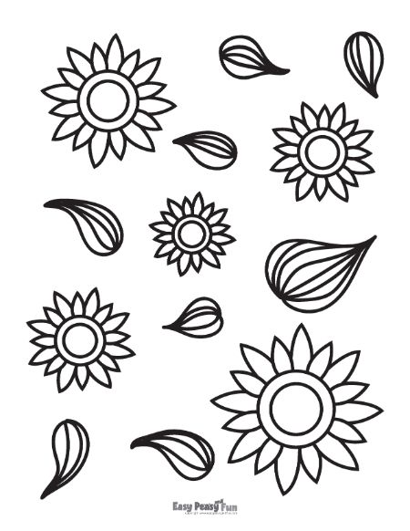 Sunflowers and Seeds