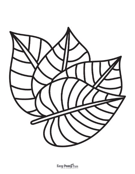 Willow Leaf Coloring Sheet