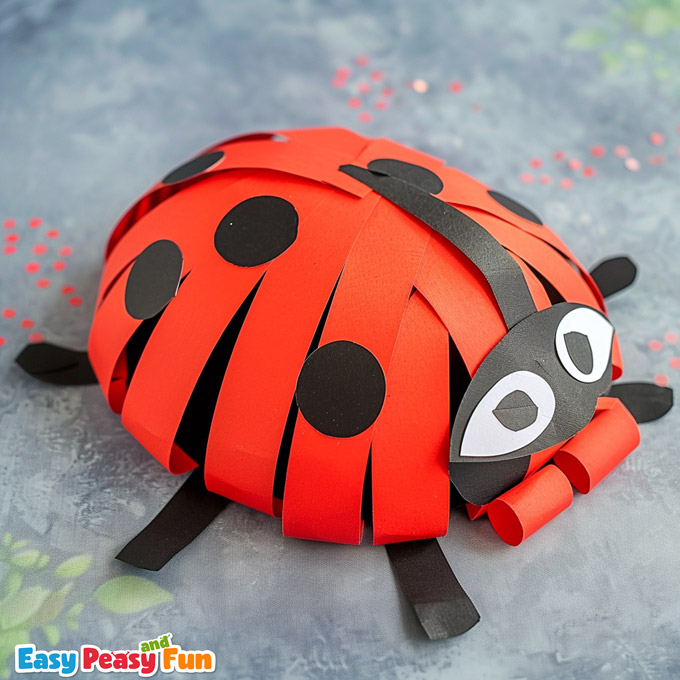 Ladybug craft idea