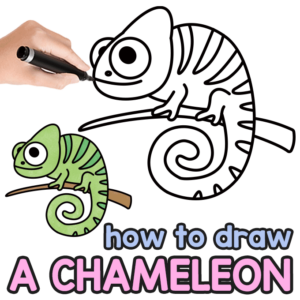 Chameleon Directed Drawing Guide