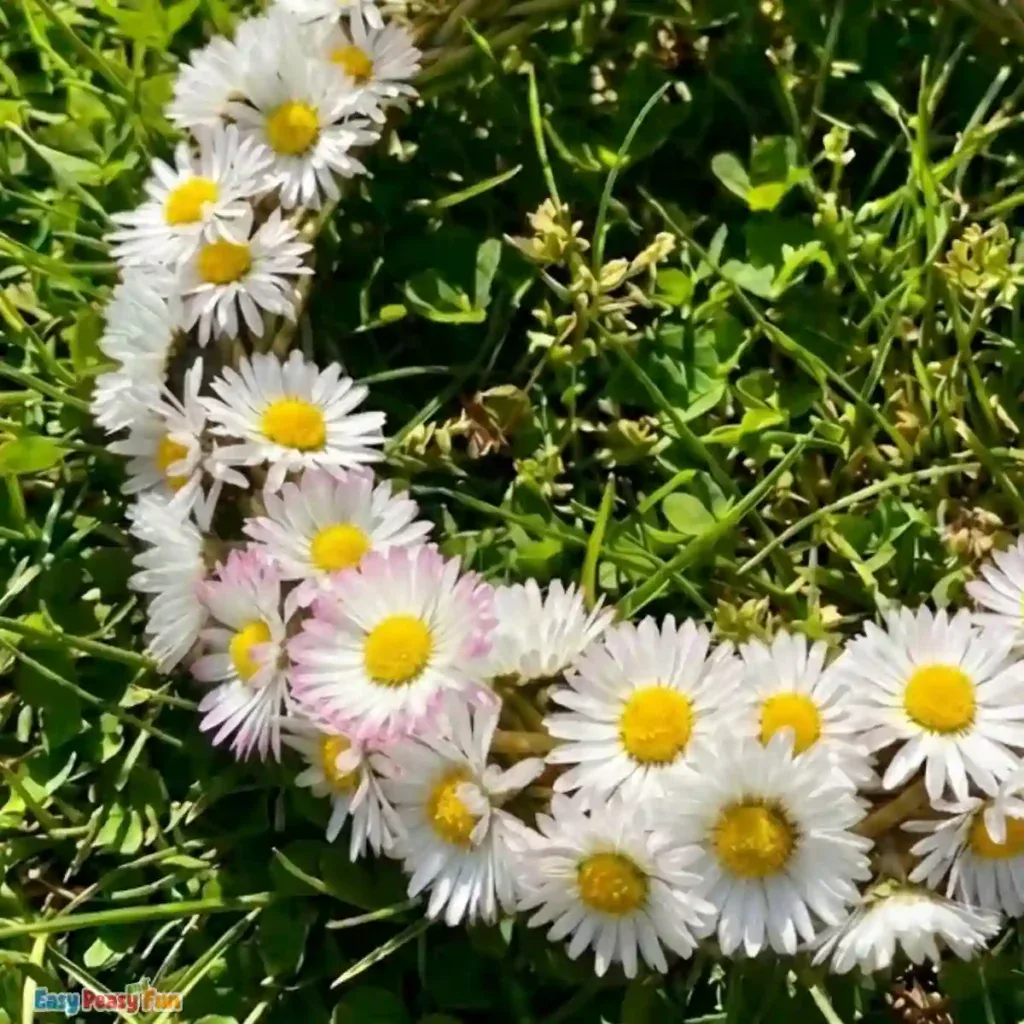 Braided Daisy Chain