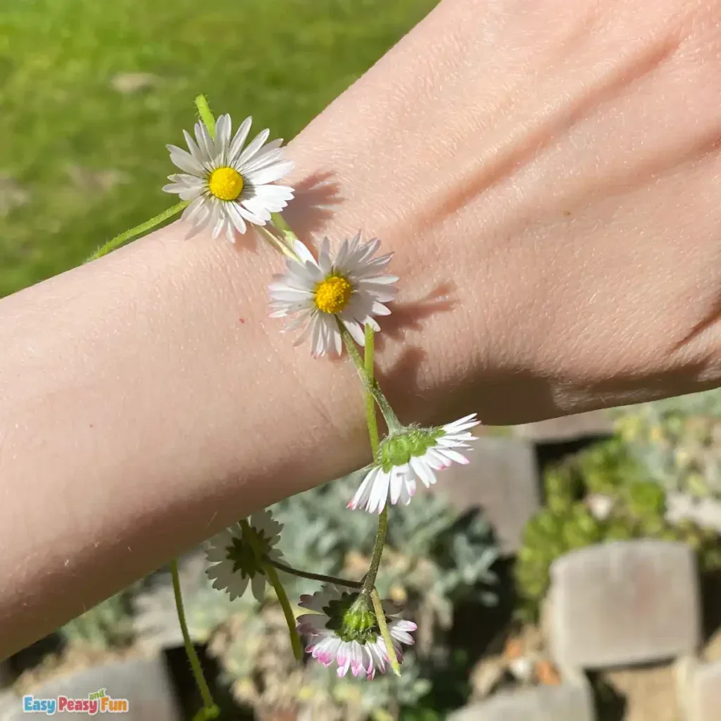 Daisy Chain Bracelet