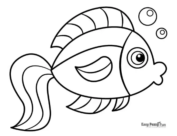 A single, happy fish with a large rounded body, a simple fin, and a wide tail.