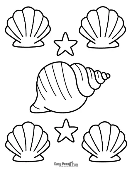 A collection of various seashells and two small, starfish arranged on a page for a fun coloring activity.