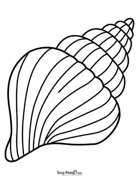 A large, spiraled conch-style seashell with clear, bold lines and a simple, elegant shape.