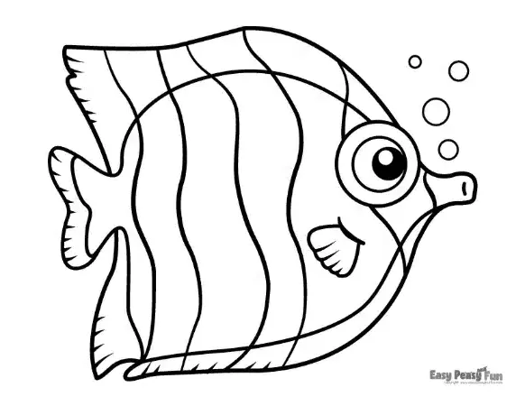 A fish with soft, wavy stripes, a large eye, and a simple fin, floating near a few bubbles.