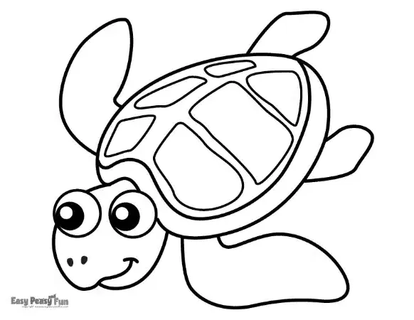 A sea turtle viewed from a top-down angle, showcasing large, clear sections on its shell.