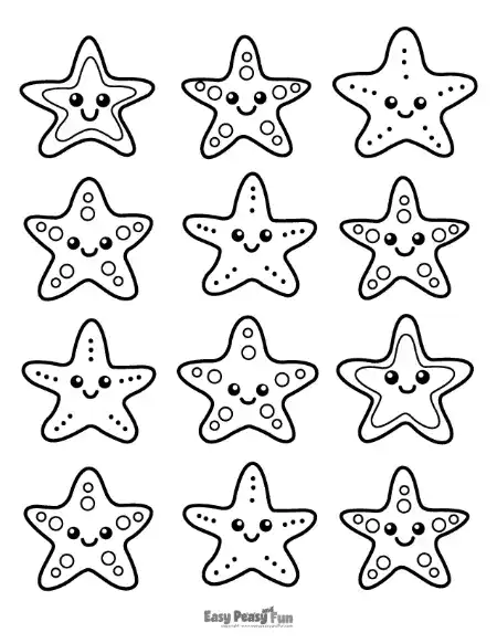 A collection of twelve small, unique starfish arranged on one page.