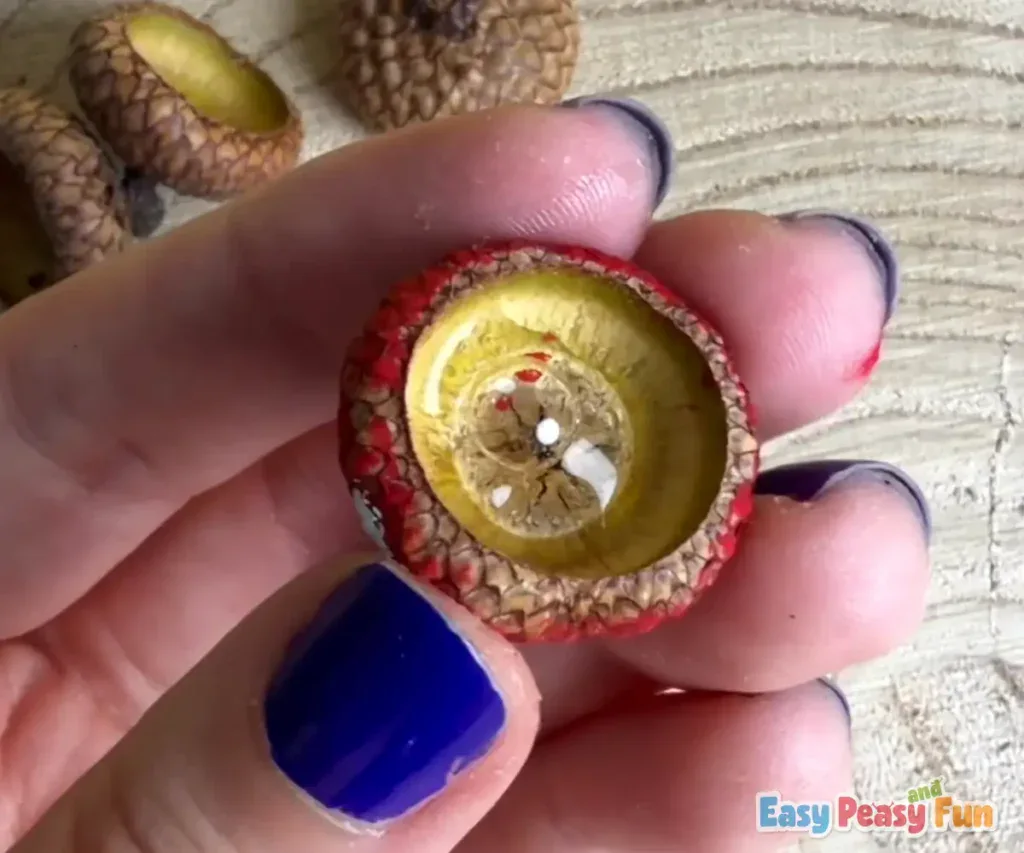 A pool of glue is placed inside the hollow underside of the decorated red acorn cap.