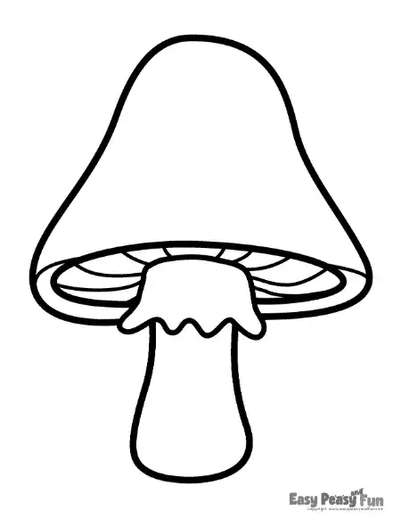 A mushroom with a cap featuring and a plain stem.