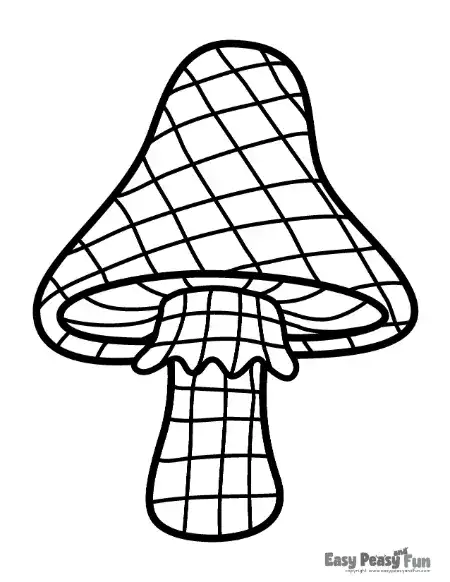 A mushroom covered completely in a fine grid net pattern across both the cap and stem.